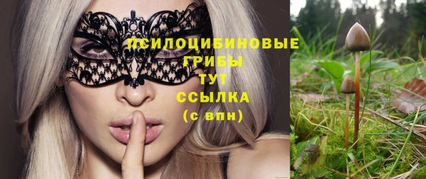 молекула духа Аркадак