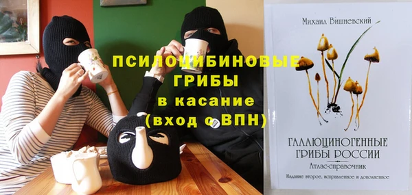 spice Армянск